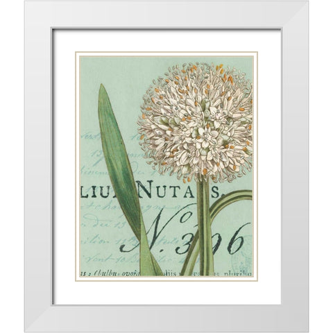 Botanique Bleu II White Modern Wood Framed Art Print with Double Matting by Wild Apple Portfolio