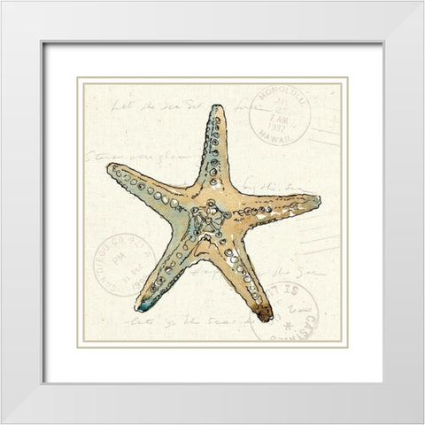 Coastal Breeze VIII White Modern Wood Framed Art Print with Double Matting by Tavoletti, Anne