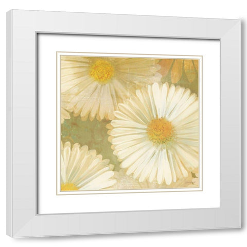 Daisy Story Square I White Modern Wood Framed Art Print with Double Matting by Lovell, Kathrine