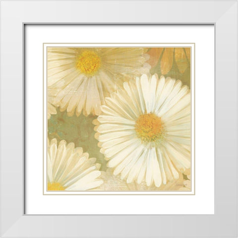 Daisy Story Square I White Modern Wood Framed Art Print with Double Matting by Lovell, Kathrine
