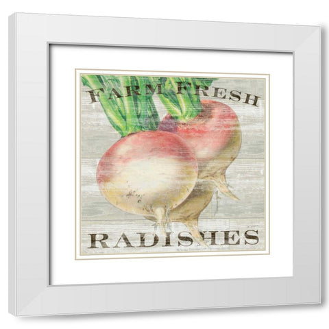 Farm Fresh Radishes White Modern Wood Framed Art Print with Double Matting by Schlabach, Sue