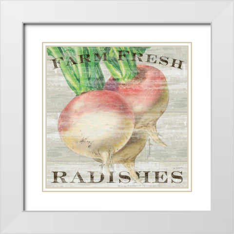 Farm Fresh Radishes White Modern Wood Framed Art Print with Double Matting by Schlabach, Sue