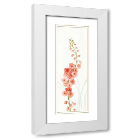 Rainbow Seeds Flowers VII Coral White Modern Wood Framed Art Print with Double Matting by Audit, Lisa