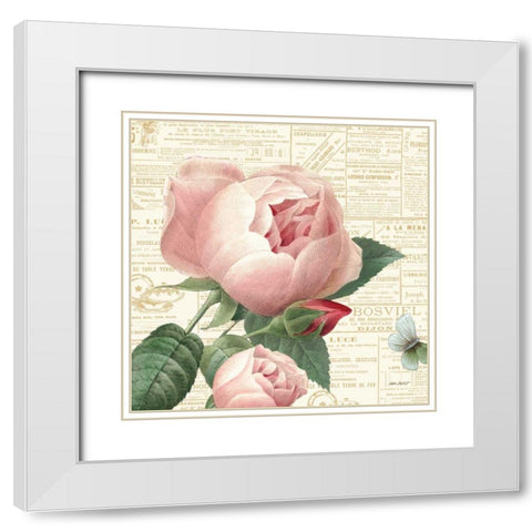 Roses in Paris V White Modern Wood Framed Art Print with Double Matting by Pertiet, Katie