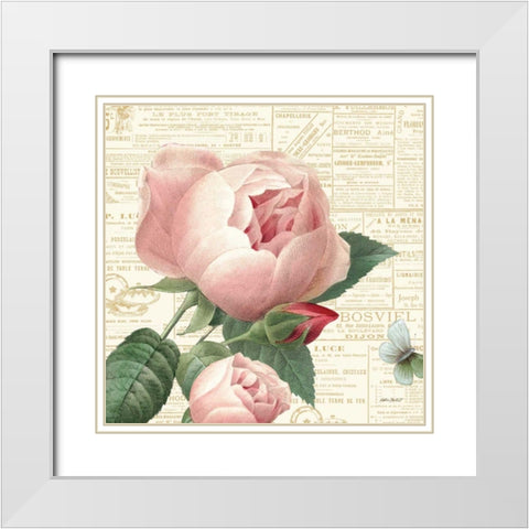 Roses in Paris V White Modern Wood Framed Art Print with Double Matting by Pertiet, Katie