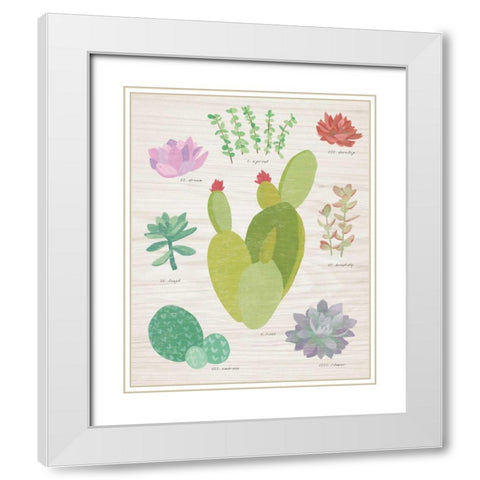 Succulent Chart III on Wood White Modern Wood Framed Art Print with Double Matting by Wild Apple Portfolio