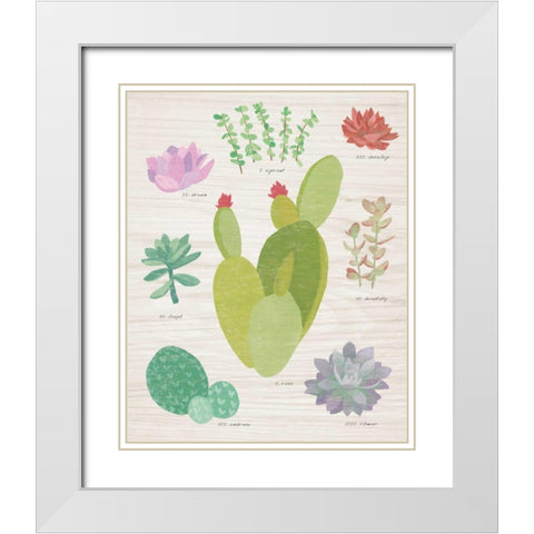 Succulent Chart III on Wood White Modern Wood Framed Art Print with Double Matting by Wild Apple Portfolio