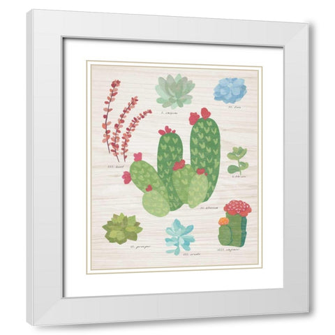 Succulent Chart IV on Wood White Modern Wood Framed Art Print with Double Matting by Wild Apple Portfolio
