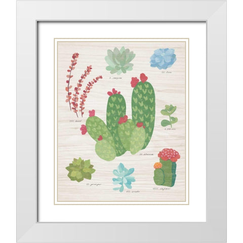 Succulent Chart IV on Wood White Modern Wood Framed Art Print with Double Matting by Wild Apple Portfolio