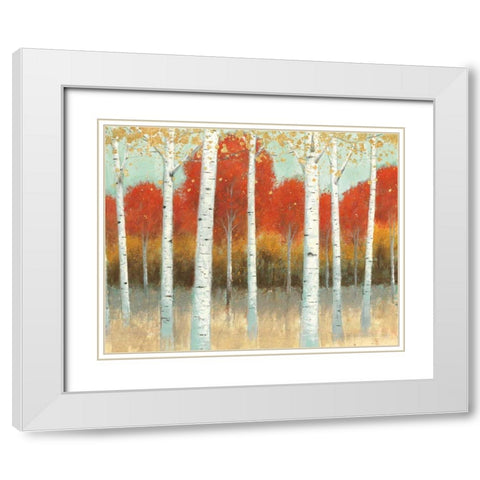 Fall Promenade I Crop White Modern Wood Framed Art Print with Double Matting by Wiens, James