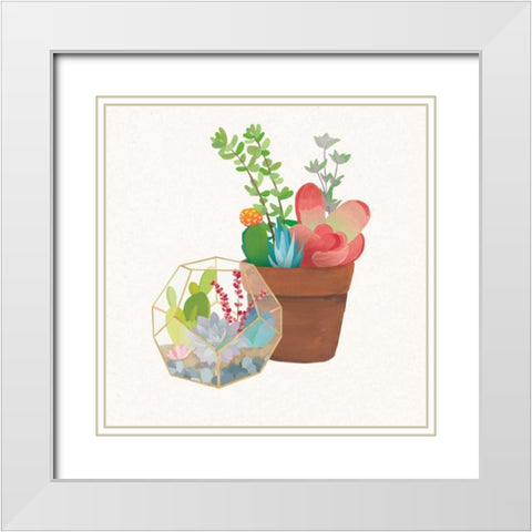 Succulent Garden III White Modern Wood Framed Art Print with Double Matting by Wild Apple Portfolio