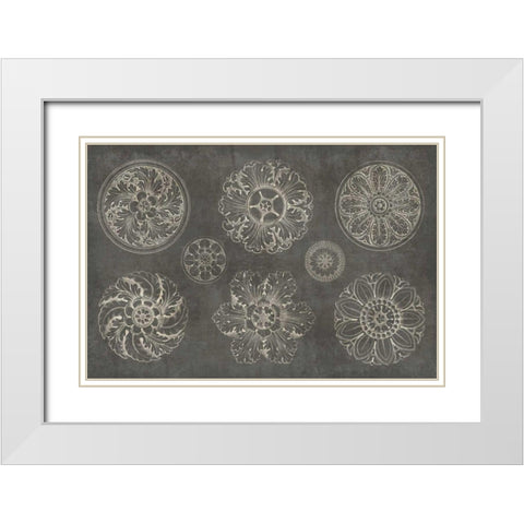 Rosette IX Gray White Modern Wood Framed Art Print with Double Matting by Wild Apple Portfolio