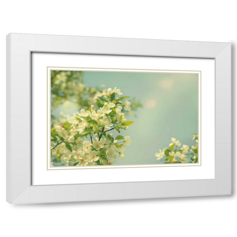 Spring Beauty I White Modern Wood Framed Art Print with Double Matting by Schlabach, Sue