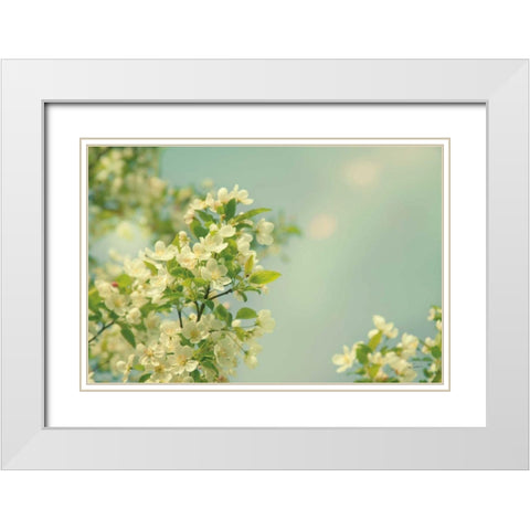 Spring Beauty I White Modern Wood Framed Art Print with Double Matting by Schlabach, Sue