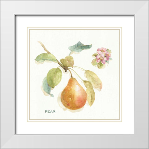 Orchard Bloom II White Modern Wood Framed Art Print with Double Matting by Audit, Lisa