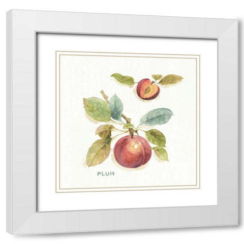 Orchard Bloom IV White Modern Wood Framed Art Print with Double Matting by Audit, Lisa