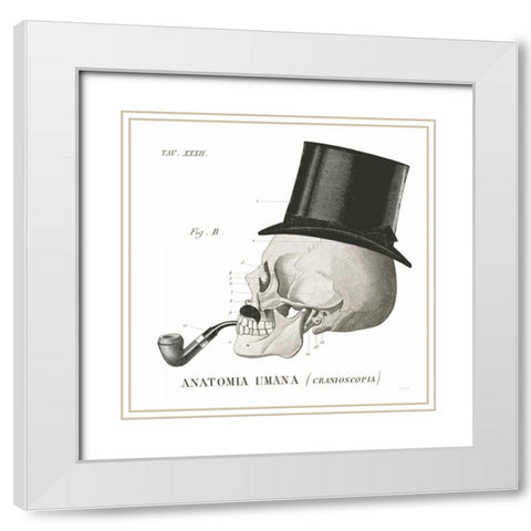 Dandy Bones II White Modern Wood Framed Art Print with Double Matting by Schlabach, Sue