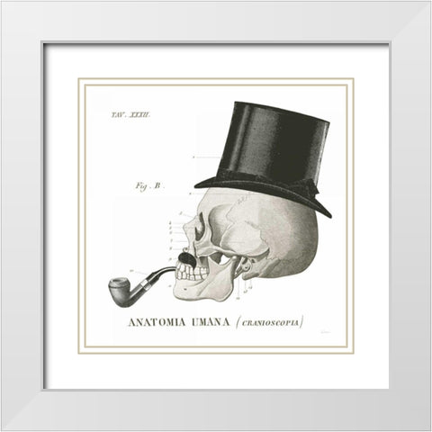 Dandy Bones II White Modern Wood Framed Art Print with Double Matting by Schlabach, Sue