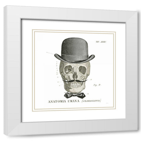 Dandy Bones IV White Modern Wood Framed Art Print with Double Matting by Schlabach, Sue