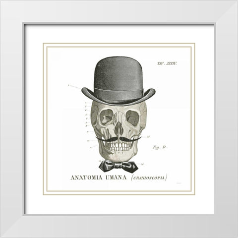 Dandy Bones IV White Modern Wood Framed Art Print with Double Matting by Schlabach, Sue