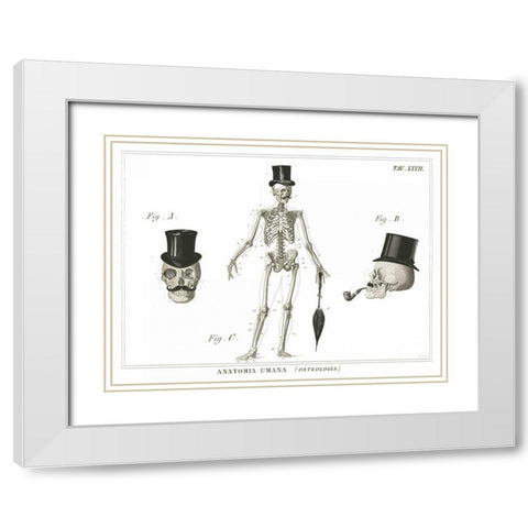 Dandy Bones White Modern Wood Framed Art Print with Double Matting by Schlabach, Sue