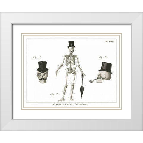 Dandy Bones White Modern Wood Framed Art Print with Double Matting by Schlabach, Sue