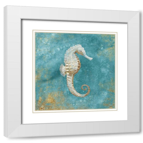 Treasures from the Sea I Aqua  White Modern Wood Framed Art Print with Double Matting by Nai, Danhui