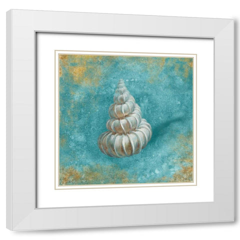 Treasures from the Sea II Aqua  White Modern Wood Framed Art Print with Double Matting by Nai, Danhui