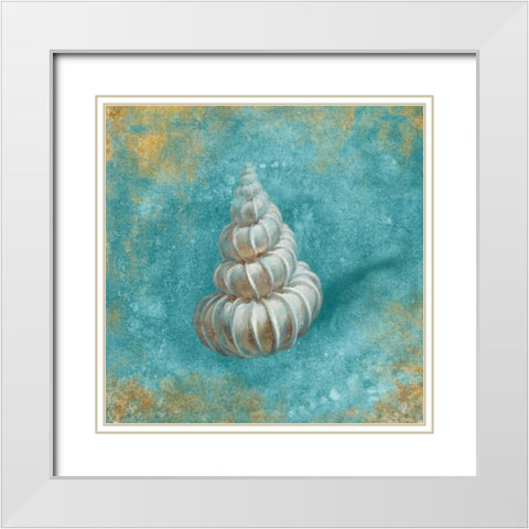 Treasures from the Sea II Aqua  White Modern Wood Framed Art Print with Double Matting by Nai, Danhui