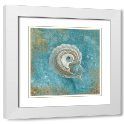 Treasures from the Sea III Aqua  White Modern Wood Framed Art Print with Double Matting by Nai, Danhui