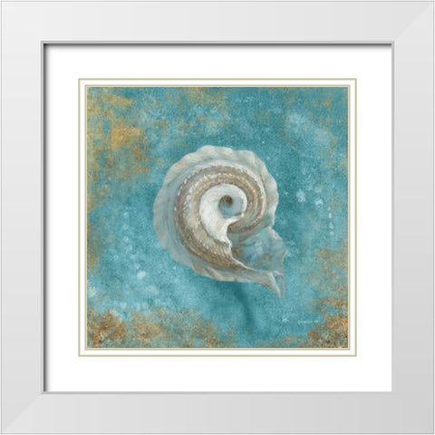 Treasures from the Sea III Aqua  White Modern Wood Framed Art Print with Double Matting by Nai, Danhui