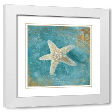 Treasures from the Sea IV Aqua  White Modern Wood Framed Art Print with Double Matting by Nai, Danhui