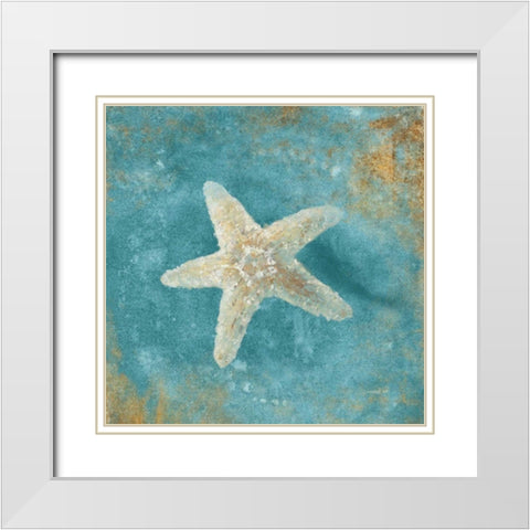 Treasures from the Sea IV Aqua  White Modern Wood Framed Art Print with Double Matting by Nai, Danhui