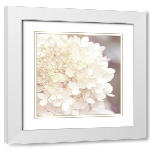 Hydrangea Dream I White Modern Wood Framed Art Print with Double Matting by Marshall, Laura
