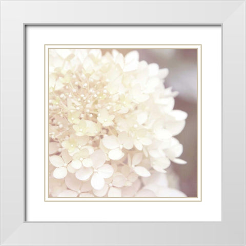 Hydrangea Dream I White Modern Wood Framed Art Print with Double Matting by Marshall, Laura