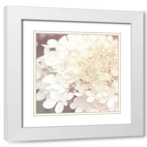 Hydrangea Dream II White Modern Wood Framed Art Print with Double Matting by Marshall, Laura