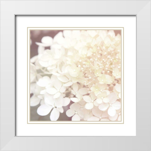 Hydrangea Dream II White Modern Wood Framed Art Print with Double Matting by Marshall, Laura