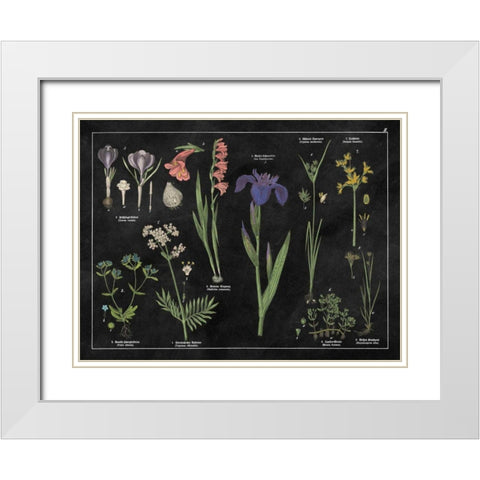 Botanical Floral Chart II Black and White White Modern Wood Framed Art Print with Double Matting by Wild Apple Portfolio