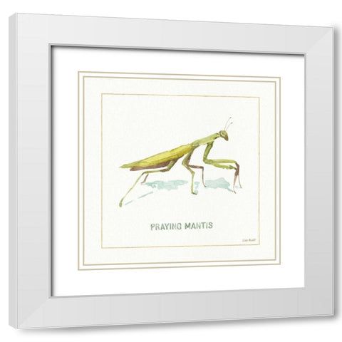 My Greenhouse Pray Mantis White Modern Wood Framed Art Print with Double Matting by Audit, Lisa