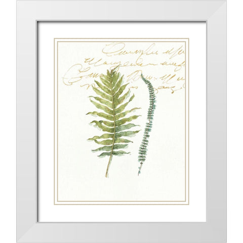 My Greenhouse Fern I White Modern Wood Framed Art Print with Double Matting by Audit, Lisa