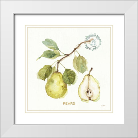 My Greenhouse Fruit I White Modern Wood Framed Art Print with Double Matting by Audit, Lisa