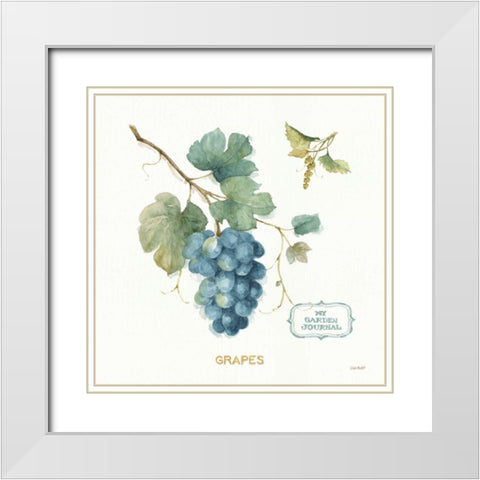 My Greenhouse Fruit III White Modern Wood Framed Art Print with Double Matting by Audit, Lisa