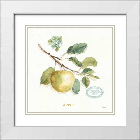 My Greenhouse Fruit IV White Modern Wood Framed Art Print with Double Matting by Audit, Lisa