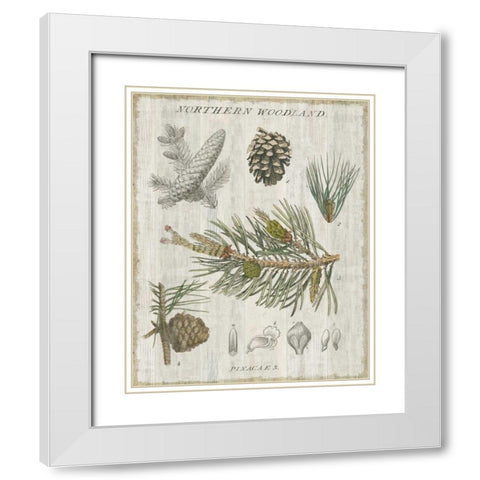 Woodland Chart III White Modern Wood Framed Art Print with Double Matting by Schlabach, Sue