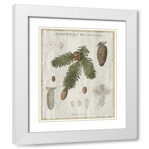 Woodland Chart V White Modern Wood Framed Art Print with Double Matting by Schlabach, Sue