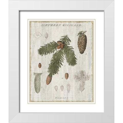Woodland Chart V White Modern Wood Framed Art Print with Double Matting by Schlabach, Sue