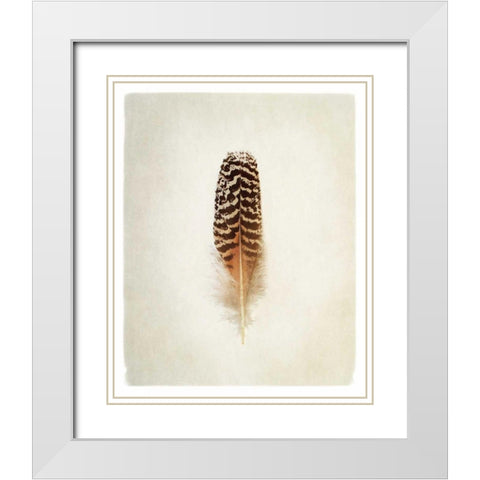 Feather I White Modern Wood Framed Art Print with Double Matting by Van Swearingen, Debra
