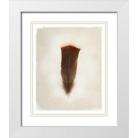 Feather III White Modern Wood Framed Art Print with Double Matting by Van Swearingen, Debra
