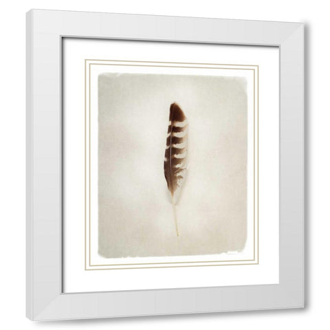 Feather IV White Modern Wood Framed Art Print with Double Matting by Van Swearingen, Debra