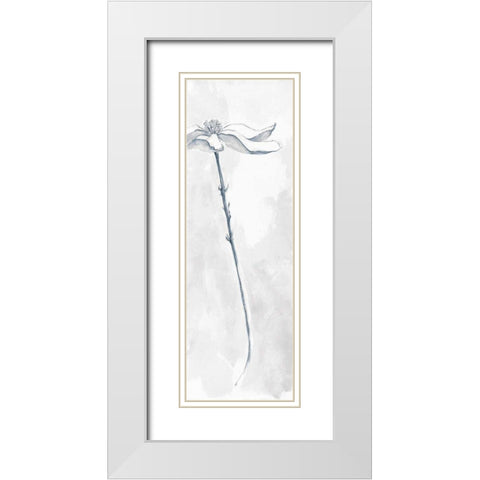 Solitary Dogwood V Gray White Modern Wood Framed Art Print with Double Matting by Paschke, Chris